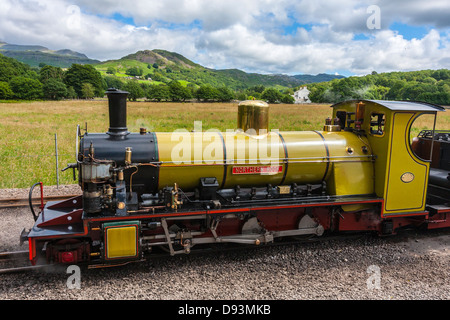 Northern Rock Dampflokomotive am Dalegarth Bahnhof, Ravenglass und Eskdale Railway, Cumbria, Lake District Stockfoto