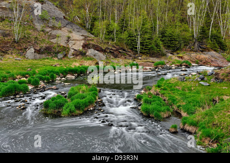 Junction Creek Stromschnellen im Frühjahr überschwemmen Greater Sudbury Ontario Kanada Stockfoto