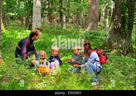 Familie im Wald Pilze Stockfoto
