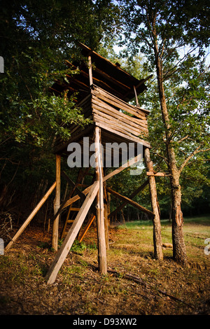 Alte hölzerne Aussichtsturm im Wald Stockfoto