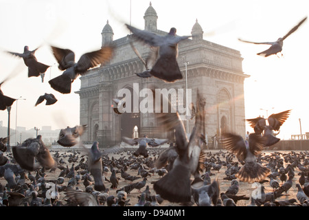 Gateway von Indien Denkmal bei Sonnenaufgang in Mumbai, Indien Stockfoto