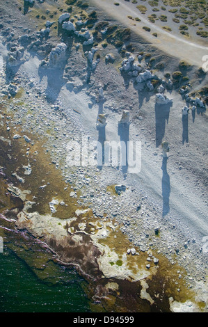 Meer-Stacks am Meer, Gotland, Schweden. Stockfoto