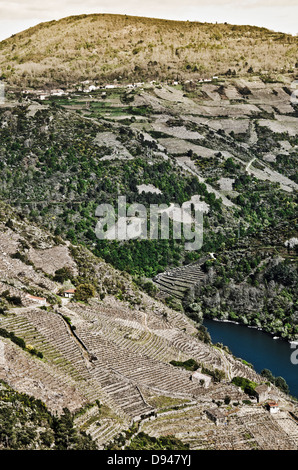 Der Sil-River-Canyon in Galicien, Spanien Stockfoto