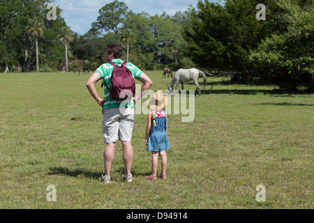 Vater und Tochter sehen die wilden Pferde bei Dungeness, Cumberland Island, Georgia Stockfoto