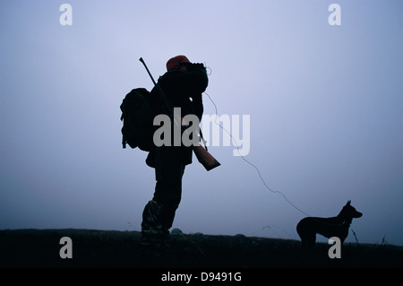 Ein Hund und Mensch Elchjagd, Lappland, Schweden. Stockfoto