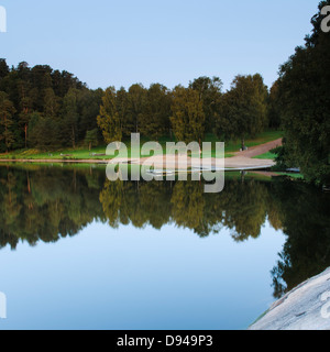 Trees reflecting in calm lake Stockfoto
