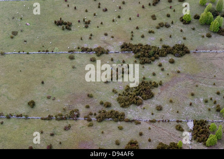 Luftaufnahme des Alvaret, flaches Land, Öland, Schweden. Stockfoto