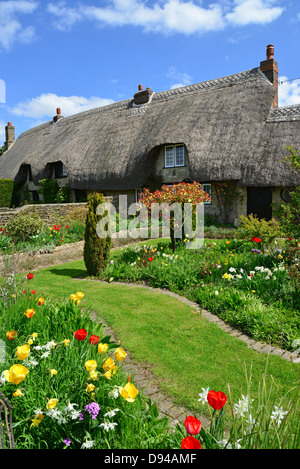 Reetgedeckte Haus und Garten, Newton Purcell, Oxfordshire, England, Vereinigtes Königreich Stockfoto