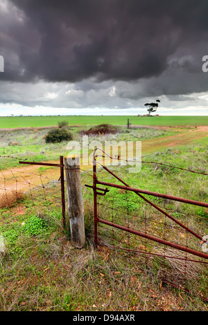 Bauernhof Land Paddocks Yorke Peninsula South Australia Stockfoto