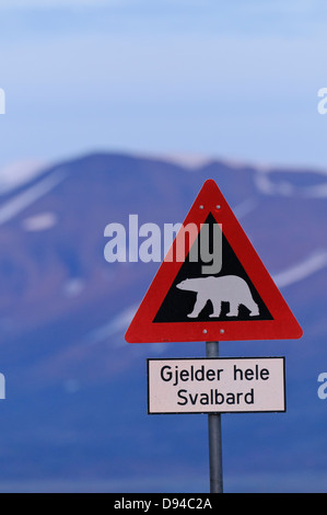 Eisbär Stockfoto