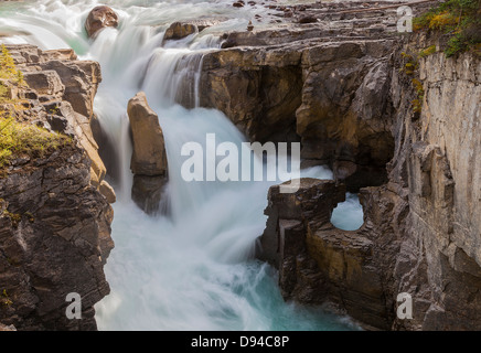 Ansicht der Wasserfall, Sunwapta Falls-Jasper-Nationalpark. Stockfoto