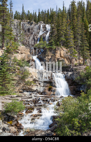 Blick auf den Wasserfall im Wald, Tangle Creek Falls, Jasper Nationalpark, Kanada. Stockfoto