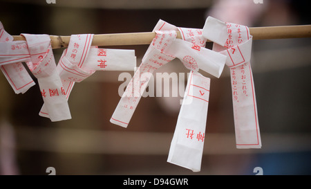 Omikuji gebunden an ein Bambusstab am Yasukuni-Schrein Stockfoto