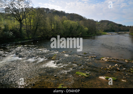 Niedrigwasser im Fluss Wye bei Lady Milford Brücke, in der Nähe von Llanstephen, Erwood Stockfoto