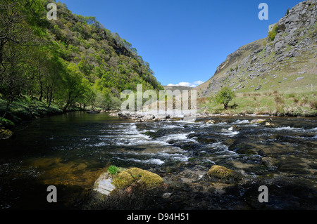 Fluss Tywi, RSPB Dinas, Llandovery, zentrale Wales Stockfoto