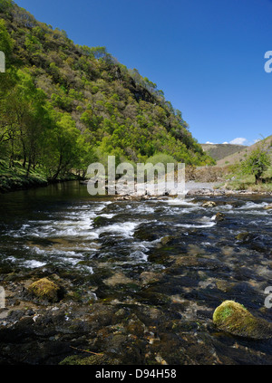 Fluss Tywi, RSPB Dinas, Llandovery, zentrale Wales Stockfoto