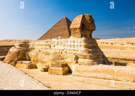 Sphinx von Gizeh mit großen Pyramide im Hintergrund. Ägypten Stockfoto