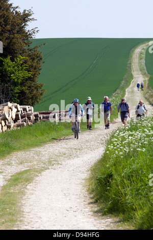 Wanderer und Radfahrer auf der South Downs Way an Bignor Hill, West Sussex, UK, Teil des Anwesens Slindon Stockfoto