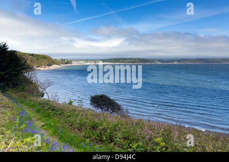 Blick vom Monkstone Punkt über Saundersfoot Bay Pembrokeshire West Wales einschließlich Glockenblumen Stockfoto