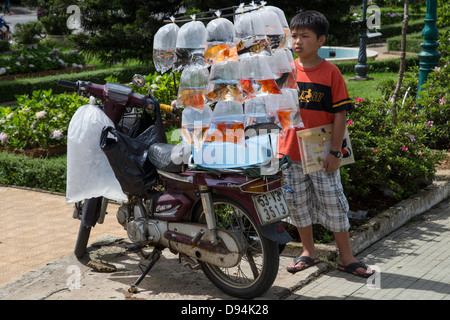 Dalat Markt mit lokalen Spezialitäten gefüllt: Erdbeermarmelade, konserviert, Artischocken und Avocados. Stockfoto