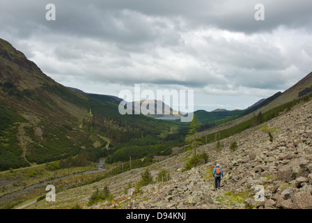 Senioren weiblich in dem Waldtal Ennerdale Blick in Ennerdale Wasser, Nationalpark Lake District, Cumbria, England UK Stockfoto