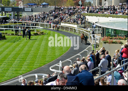 Zuschauern Pferde im Gehäuse bei Ascot Racecourse, England, Vereinigtes Königreich. Stockfoto