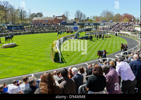 Zuschauern Pferde im Gehäuse bei Ascot Racecourse, England, Vereinigtes Königreich. Stockfoto