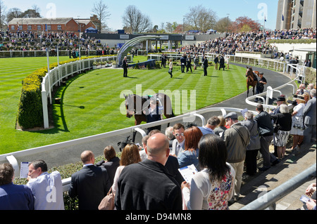 Zuschauern Pferde im Gehäuse bei Ascot Racecourse, England, Vereinigtes Königreich. Stockfoto
