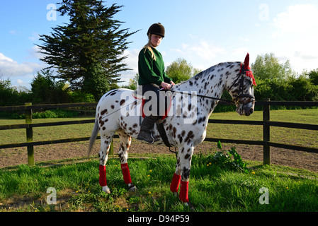 Teenager-Mädchen mit Appaloosa Pferd, Stanwell Moor, Surrey, England, Vereinigtes Königreich Stockfoto