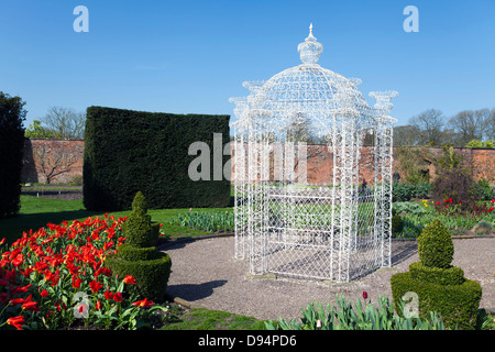 Weißen Schmiedeeisen Arbor in einem englischen Garten mit roten Tulpen und Formschnitt Sträuchern. Stockfoto