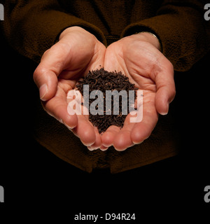 Nahaufnahme von Frauenhand mit Tabak, Studioaufnahme Stockfoto