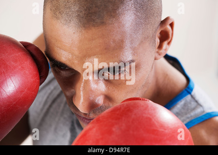 Mann trägt Boxhandschuhe im Studio mit weißem Hintergrund Stockfoto