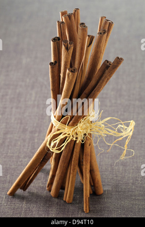 Nahaufnahme von Zimt-Sticks gebunden mit Bast auf grauen Hintergrund, Studioaufnahme Stockfoto