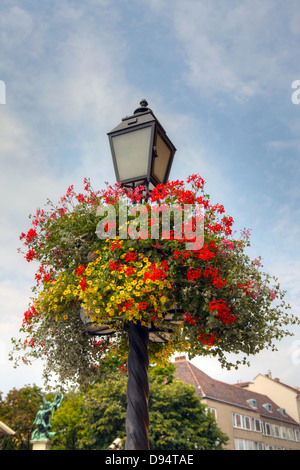 Rot, post rosa und gelbe Blüten in eine Blumenampel auf eine alte Straßenlaterne. Stockfoto