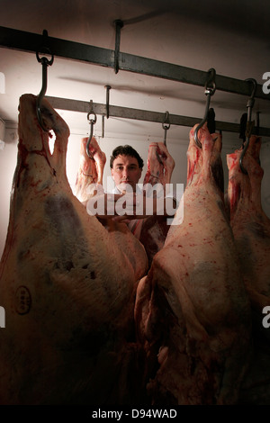 Yorkshire Metzger mit einer Seitenlänge von Rindfleisch in seinem Kühlraum Stockfoto