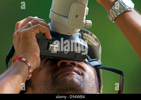 Fotografen konzentriert sich auf Bild der Vögel Stockfoto