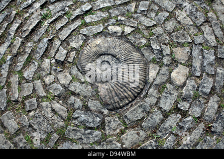 Ein Ammonit Fossil gesetzt in einen Wanderweg, Chalice Well Gärten, Glastonbury, Somerset. Stockfoto
