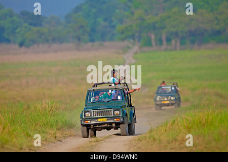 Touristen auf Safari-Jeeps in Jim Corbett Nationalpark, Uttarakhand, Indien Stockfoto