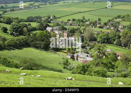 Blick hinunter auf Schafe und das Dorf von Corton Denham, Somerset von Corton-Hügel in der Nähe. Stockfoto