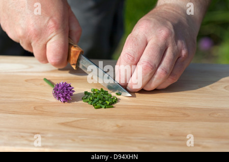 Person zerschneiden frisch gepflückten Schnittlauch Allium Schoenoprasum auf ein Schneidbrett aus Holz UK Stockfoto