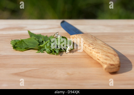 Frisch gehackte Hedge Knoblauch Alliaria Petiolata (auch bekannt als Jack durch die Hecke) auf einem Hacken Holzbrett mit Messer UK