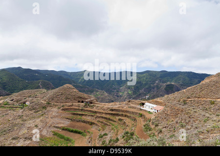 Höhlenwohnungen bei Chinamada im Anaga, Teneriffa, Kanarische Inseln, Spanien. Stockfoto