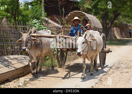 OCHSENKARREN dienen zum transport von Touristen - MINGUN, MYANMAR Stockfoto