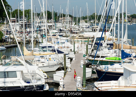 Angedockt Segelboote, Annapolis, Maryland, USA Stockfoto