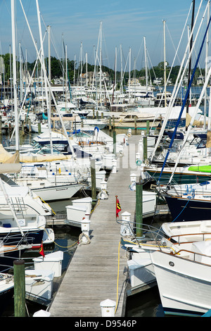 Angedockt Segelboote, Annapolis, Maryland, USA Stockfoto