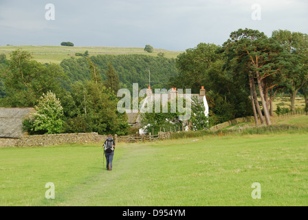 Eine einsame weibliche Walker auf Alfred Wainwright der Coast to Coast walk Cumbria UK Stockfoto