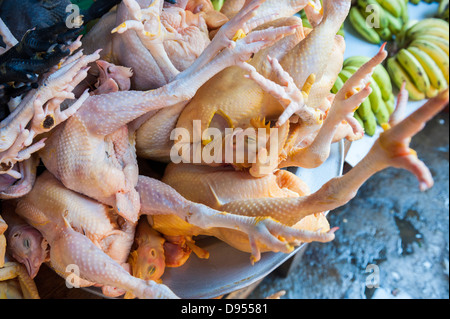 Huhn auf Sapa Markt mit Kopf und Füße nicht entfernt. Nord-Vietnam Stockfoto