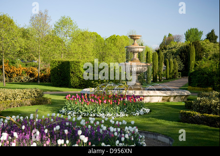 Multi-farbigen Tulpen gepflanzt um einen steinernen Brunnen im Regents Park, London, UK Stockfoto