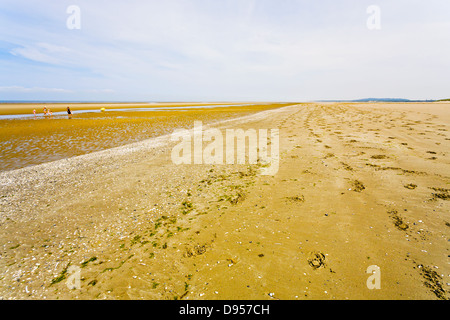 Sand Küste des Ärmelkanals in der Normandie, Frankreich Stockfoto