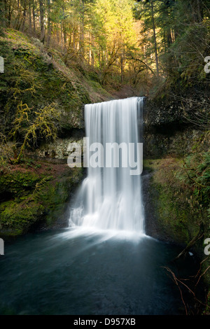 OR01056-00... OREGON - Lower South Falls auf der South Fork des Silver Creek in Silver Falls State Park. Stockfoto